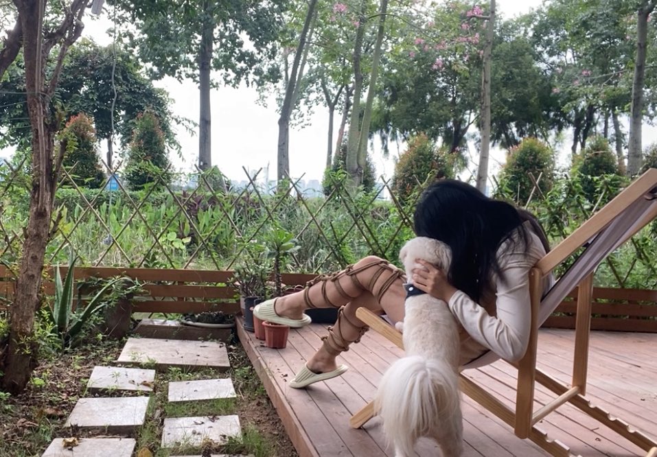 Shibarimuxii's tweet photo. 可太喜欢这小院子了，除了蚊子有点多 https://t.co/uu0dtgNqml