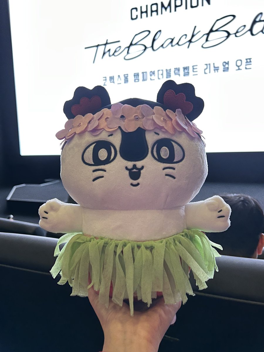 doggy_somging's tweet photo. 무대인사 보러온 기념으루 세이렌도 섬 주민 옷 ㅎㅎ https://t.co/as3yUPJG41