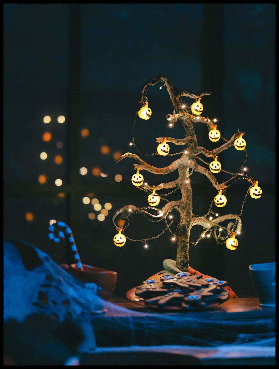 kms__s_'s tweet photo. ハロウィンとクリスマスがぶつかり合うとどうなるか🎃🎄 https://t.co/yRdpPKpsKY