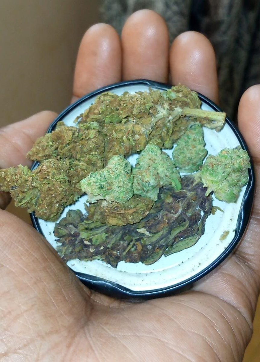 Lokieeees's tweet photo. Pesa yako ikikupandisha class, taste yako pia inafaa ipande. 😂

Sio kila siku unaonekana expensive alafu unafungua ziplock mbegu zinakusalimia. 😭 https://t.co/j2qpcUFz2E