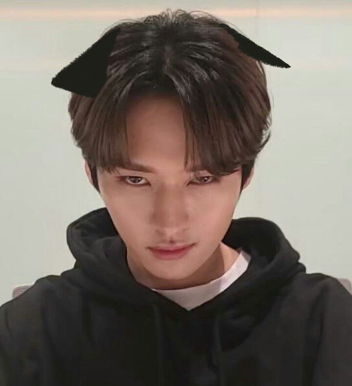 minhoautism's tweet photo. i miss my kitty https://t.co/y55fGPm5Xi