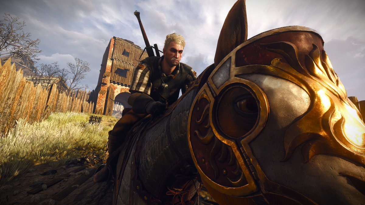 koyoffe's tweet photo. algumas fotos do meu geraldo emo tiradas no modo foto #gag de la #gag abafa #monas avisa #veyr #affs #thewitcher3 https://t.co/iQTtBQeS83