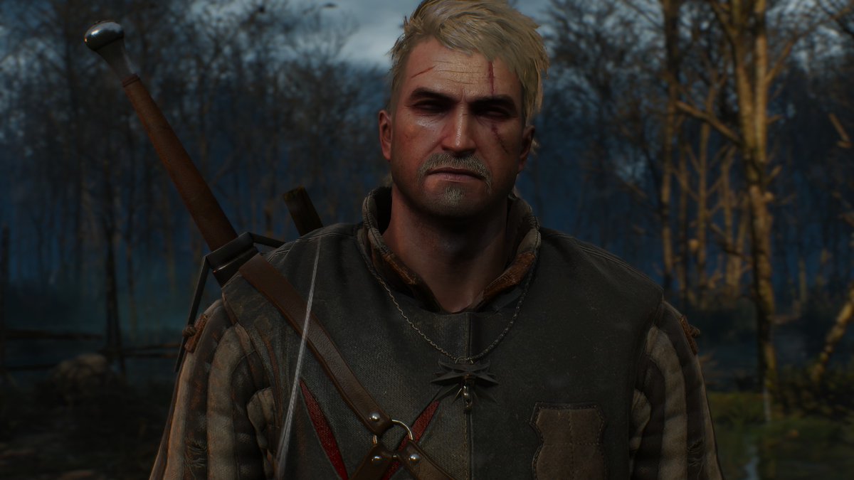 koyoffe's tweet photo. algumas fotos do meu geraldo emo tiradas no modo foto #gag de la #gag abafa #monas avisa #veyr #affs #thewitcher3 https://t.co/iQTtBQeS83