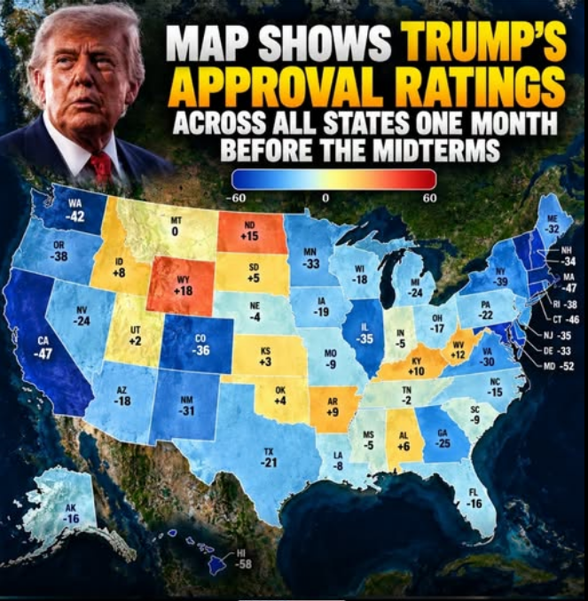 EmilyCarter202's tweet photo. Trump is at 29% approval. The economy added just 29,000 jobs, unemployment is rising.

He's out rallying in Ohio like nothing's wrong. We're paying for his failures. November is our answer. Vote Republicans out! https://t.co/Z7idLBIeYs