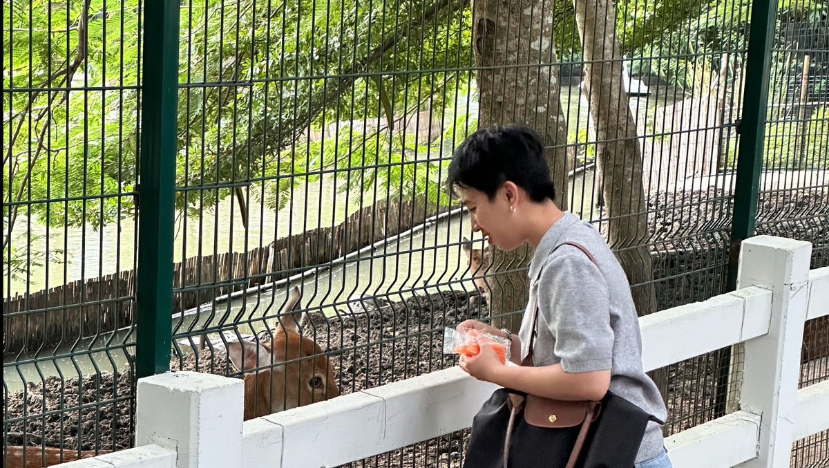 A woman with short black hair, wearing a grey shirt, feeding a brown animal through a green wire fence at what appears to be a zoo or animal park.