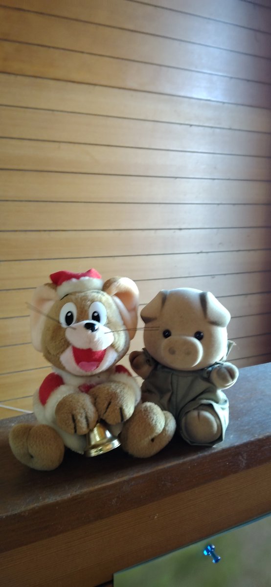mitemitetotoro's tweet photo. 本日ユーチュブの
���ョートで北海道銭函管内の
名前を変えてO川に
アキアジが遡上しているか
の動画を配信しました
昨年から見ても残念な感じ
遡上が遅れて居るのか
遡上するアキアジが減少
しているのか
石狩管内には毎年の事で
一番最後に遡上する川も
11月中場までにワンチャン
あると思いますが🐻 https://t.co/XYNw4KiLCa