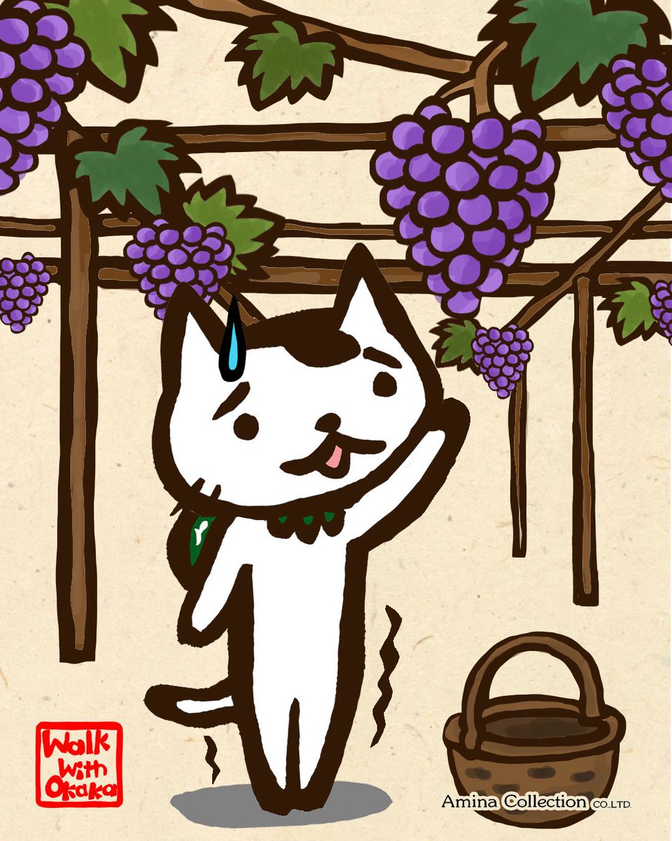 OkakaCayhane's tweet photo. とどかない〜💦

#ぶどう狩り🍇 https://t.co/Itbtiy9zJM
