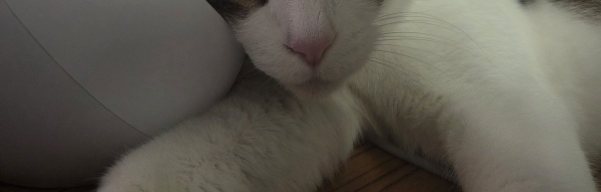 Penyo_02's tweet photo. https://t.co/aBuvpzM0Od