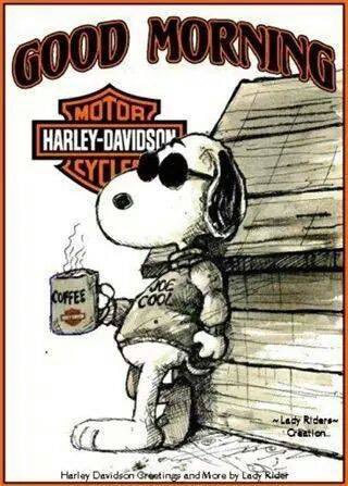 Sancho_61's tweet photo. Good morning all, Happy Taco Tuesday it is also National Taco Day🌮🌮🌮. I hope you all have a productive, fun filled day I am off to get shit done. https://t.co/TncrFgAL6V