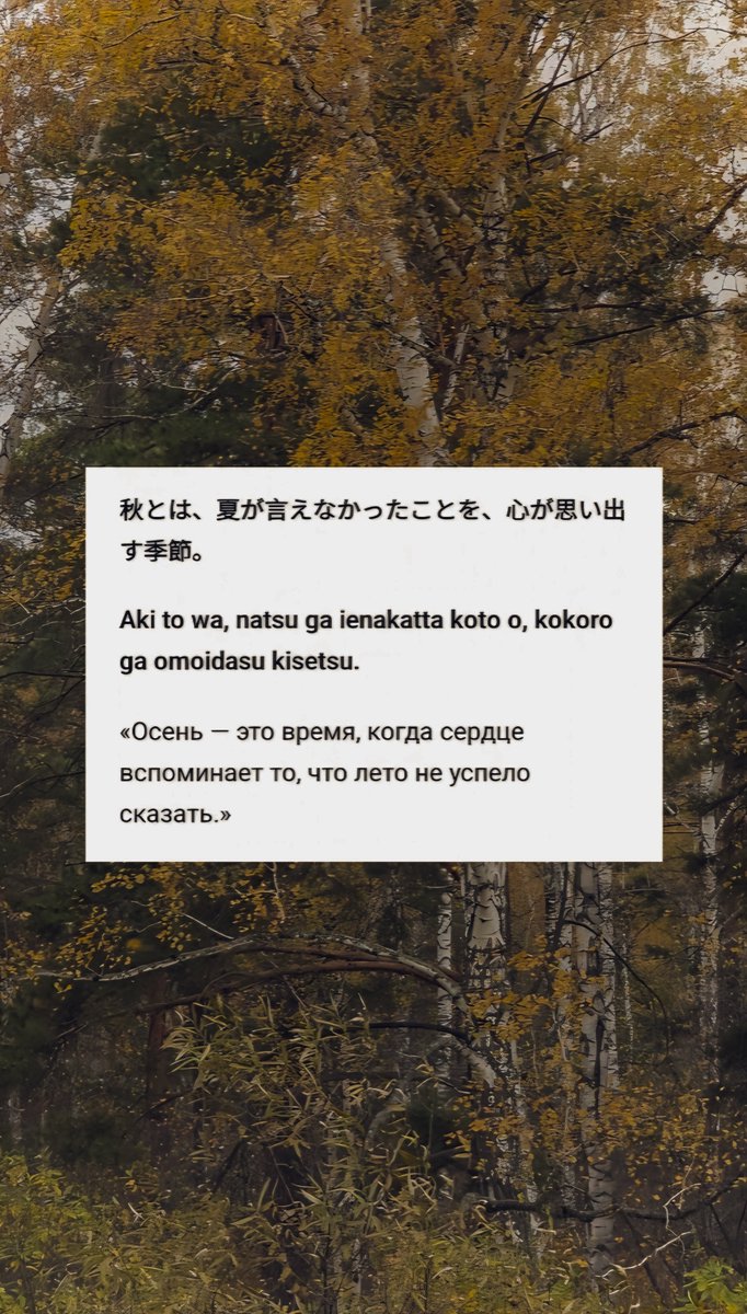 softstrm's tweet photo. autumn vibe 🍂 -https://t.co/lz253bVhp3 https://t.co/6qAIuAXyfo