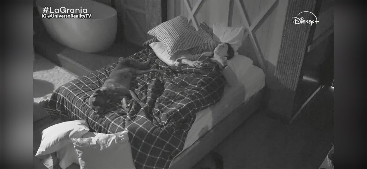 KarennkaKaren's tweet photo. Tlacoyo dormido con Kunno 🥹 no puedo que hermoso 🤧

#LaGranja https://t.co/LKLCiJyBjd