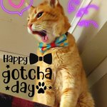 Photo by Cheddar Biscuits 🧡🧡 (@biscuitscheddar)