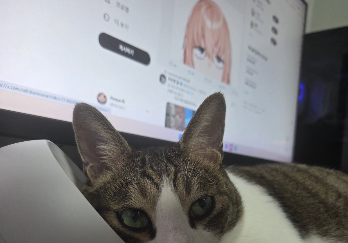 Penyo_02's tweet photo. 테스트 https://t.co/JgsBkHKoBg