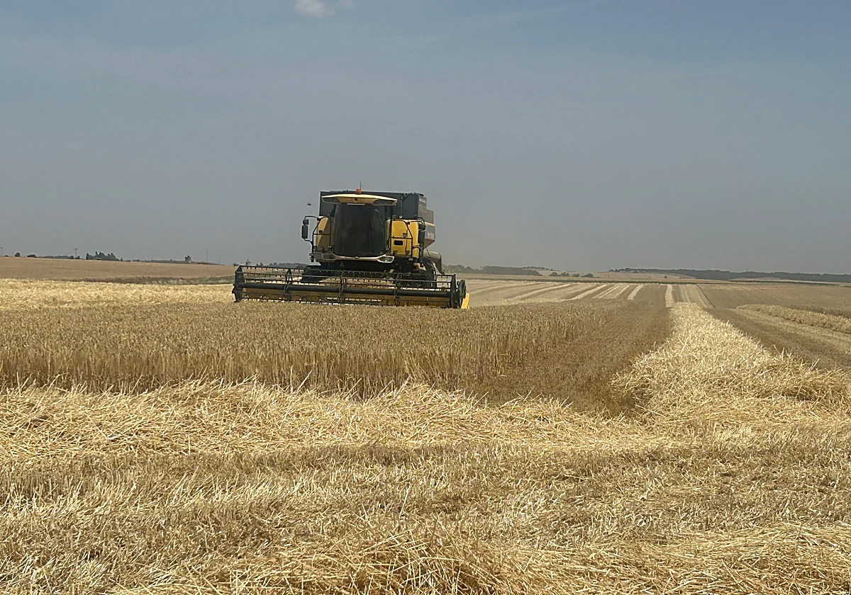 LaGacetaSA's tweet photo. "En el campo se habla de rentabilidad. Si el campo es rentable, el agricultor o el ganadero se queda. Si no lo es, se va. Si lo es, el campo es atractivo. Si no, antiguo. Si da dinero, bien. Si no, nada que hacer. Nadie al que convencer..." ✍️ Susana Magdaleno ⬇️ 
https://t.co/Zp94jEmxVO