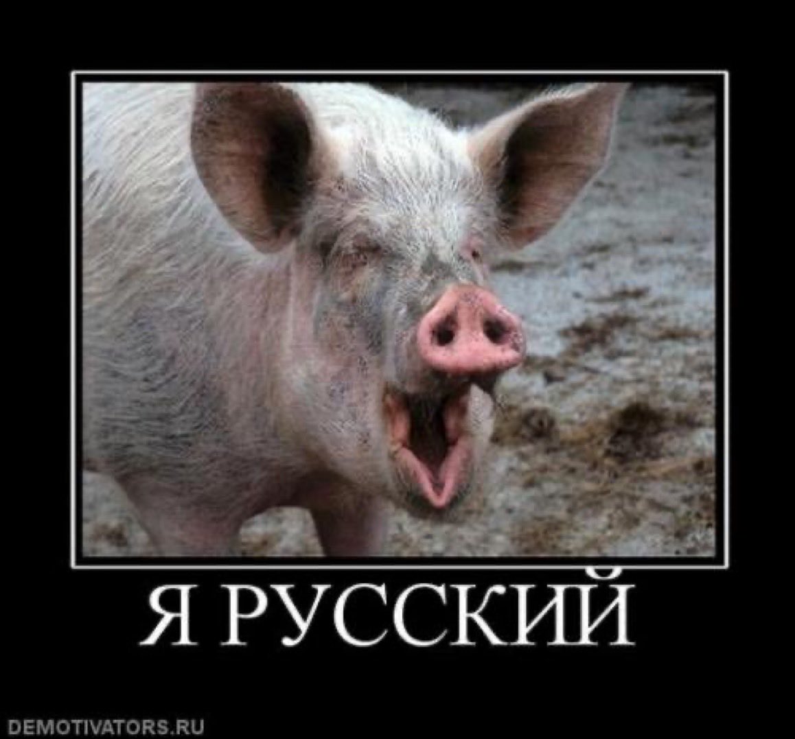 OGbratik's tweet photo. @sergeenko_i Отсталые хрюсске животные даже с чумой не могут справится)) парашка это говно 3 мира) https://t.co/LafHwHiFpI