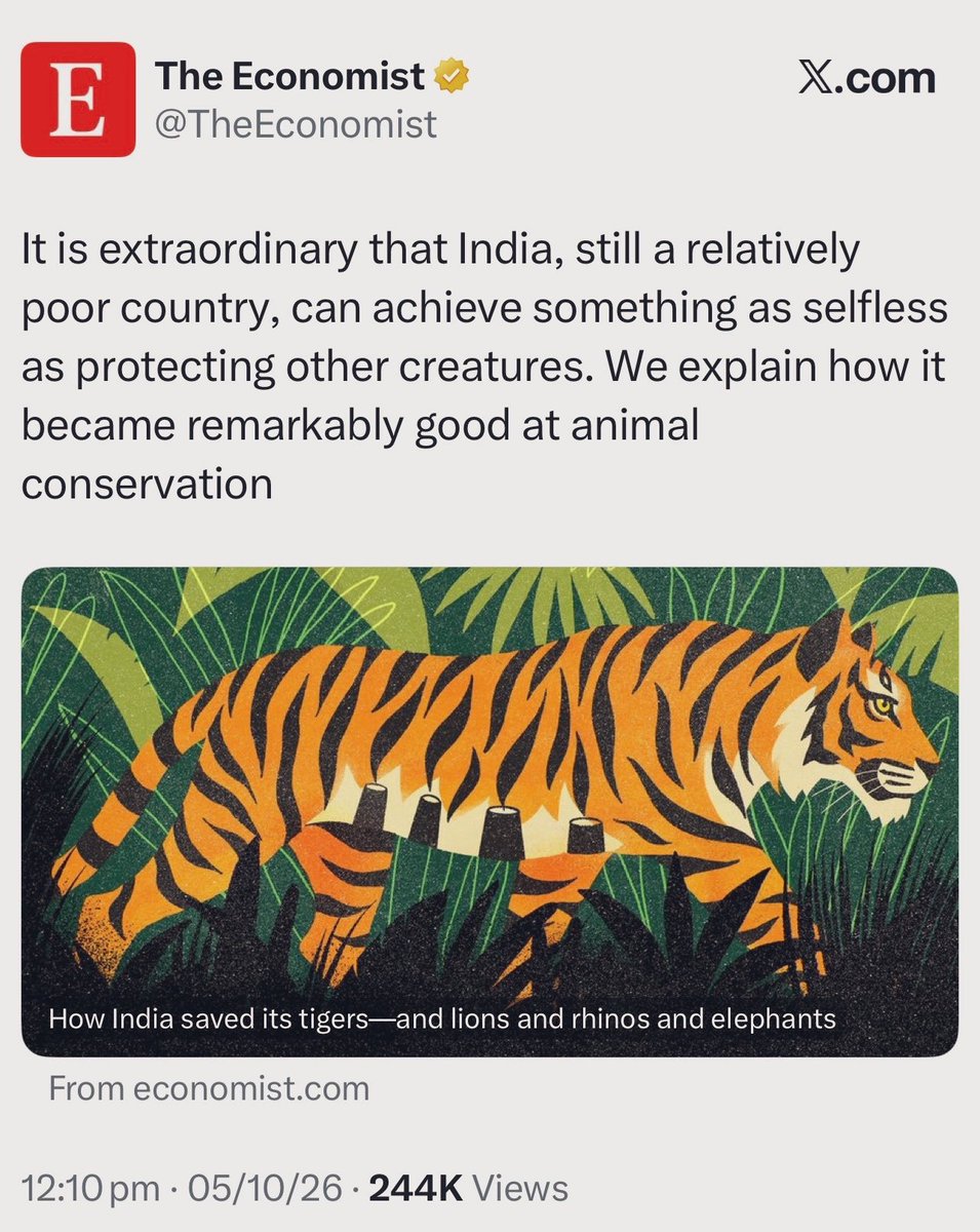 impunitrana's tweet photo. A relatively poor country, India saved its tigers, but the great Britain can’t save its streets from grooming gangs and the radicals it keeps importing. https://t.co/PhpxEXOX7a