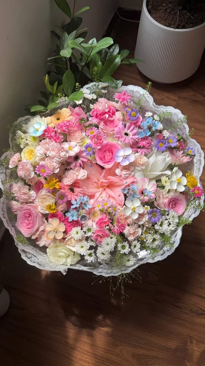 Flowersidmb's tweet photo. https://t.co/FkW2gm5uXH