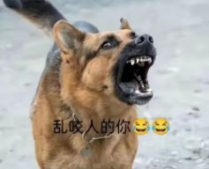 johnpp2t's tweet photo. @didi05360962 @Miaoshu321 https://t.co/aHx8tXjMVJ