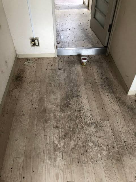 hikaruganji's tweet photo. ベトナム人に部屋を貸すと、土足で生活するので、家の床が土のように汚れるそうです。
もう国へ帰れ。 https://t.co/ALE7cEpcZN