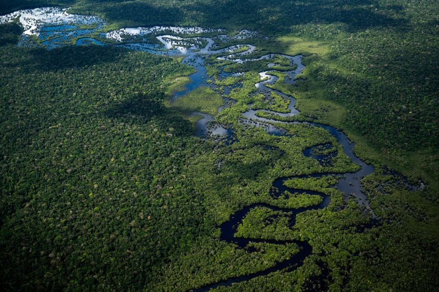 treemissions's tweet photo. The Amazon makes its own rain.
Trees release so much moisture that they create ~50% of the region's rainfall.
Cut enough of them down and the forest doesn't just shrink. It stops being able to make the water it needs to survive. https://t.co/eBAw1AkkPB