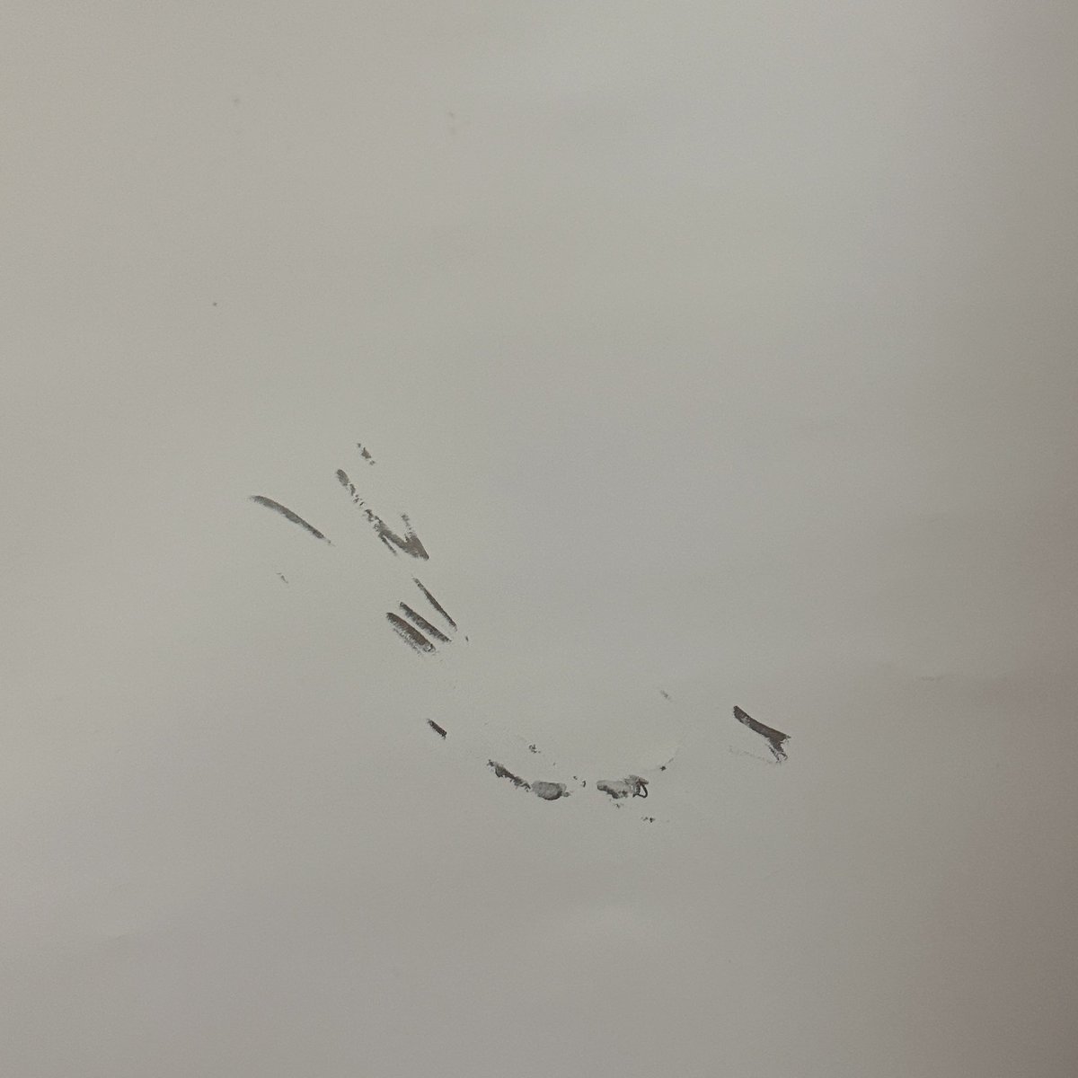 natchangu54753's tweet photo. こう見るとハルコンのポスターってやっぱ大きかったんだねwww

裏にインク付いてて手書きの証ね～なんて呑気に考えてたけど次の人のサイン消えてないか心配になってきた💦
余分なインクを吸い取っただけでありますように😣 https://t.co/VAfD8bkPXg