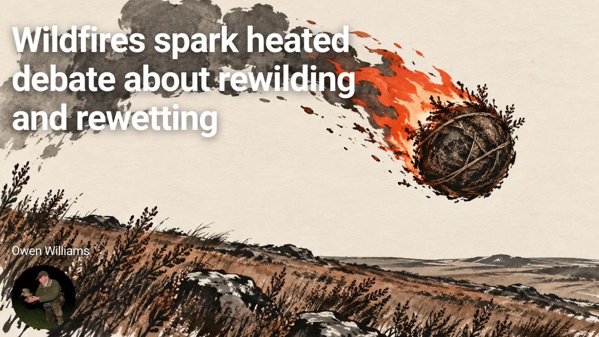 scribehound's tweet photo. 🔥 Can rewilding &amp; rewetting really help control wildfires?

Owen examines the increasingly heated debate around wildfire risk, fuel loads and rewetting &amp; argues that complex landscapes need more nuance and context than the current debate often allows.

👉 https://t.co/0TyykCZln4 https://t.co/ISqPa2GwnO