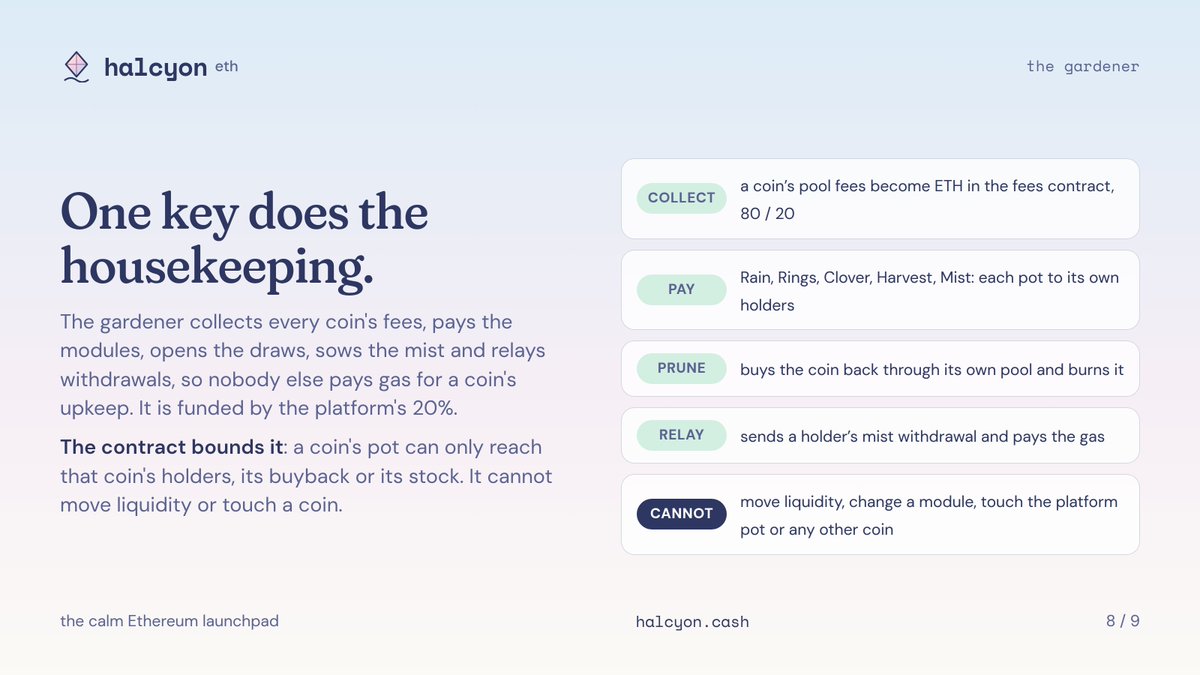 halcyoncash's tweet photo. https://t.co/FyqQiyjA7v https://t.co/8bqiNmT38m