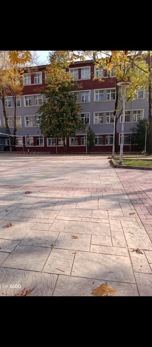 tltb_57's tweet photo. Yazdan kalan ne varsa olurken haşır neşir;
Günler hazinleşir, geceler uhrevîleşir;
Teşrinlerin bu hüznü geçer tâ iliklere.
Anlar ki yolcu, yol görünür serviliklere.
Dünyanın ufku, gözlere gittikçe târ olur,
Her gün sürüklenip yaşamak rûha bâr olur. (Y. Kemal Beyatlı)🍂 https://t.co/8BbhWG4DCH