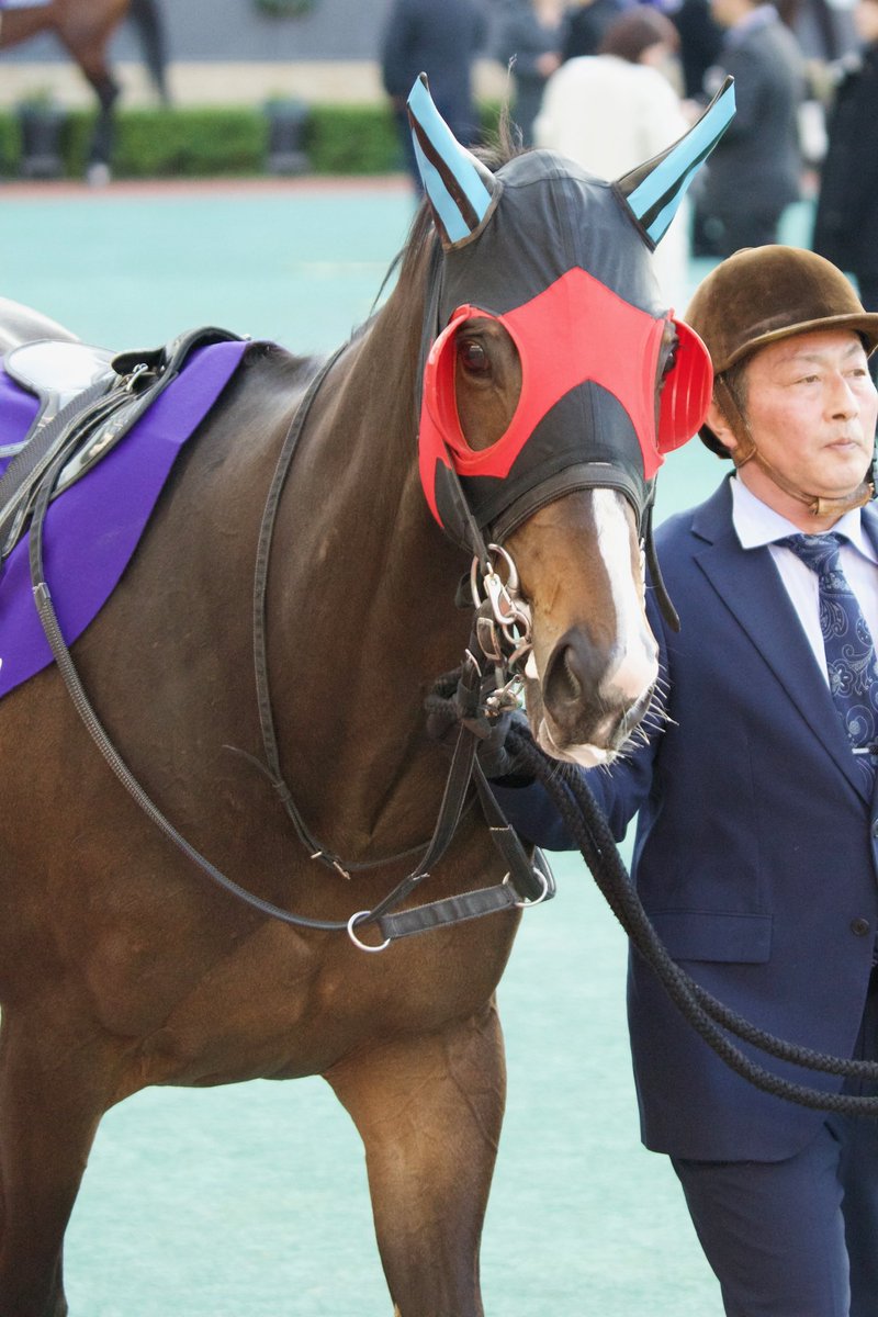 momokuma2222's tweet photo. ヘリオスくん🐴
去年のチャンピオンズCで会ったのが最後でした😭
この可愛いメンコ姿が大好きでした💕
まだ受け入れられないよ😭
#ヘリオス https://t.co/Jr1gDZQza7