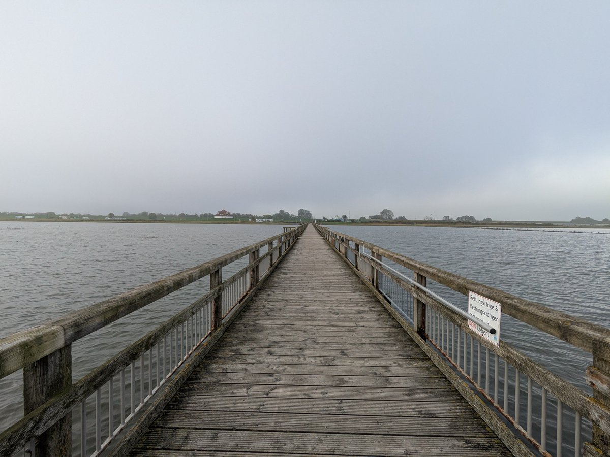 Nordwestroute's tweet photo. Moin aus Butjadingen.. #Fedderwardersiel #butjadingen #nordsee #wesermarsch #Burhave #tossens #eckwarderhörne #Ruhwarden https://t.co/kfGA4X3mQt