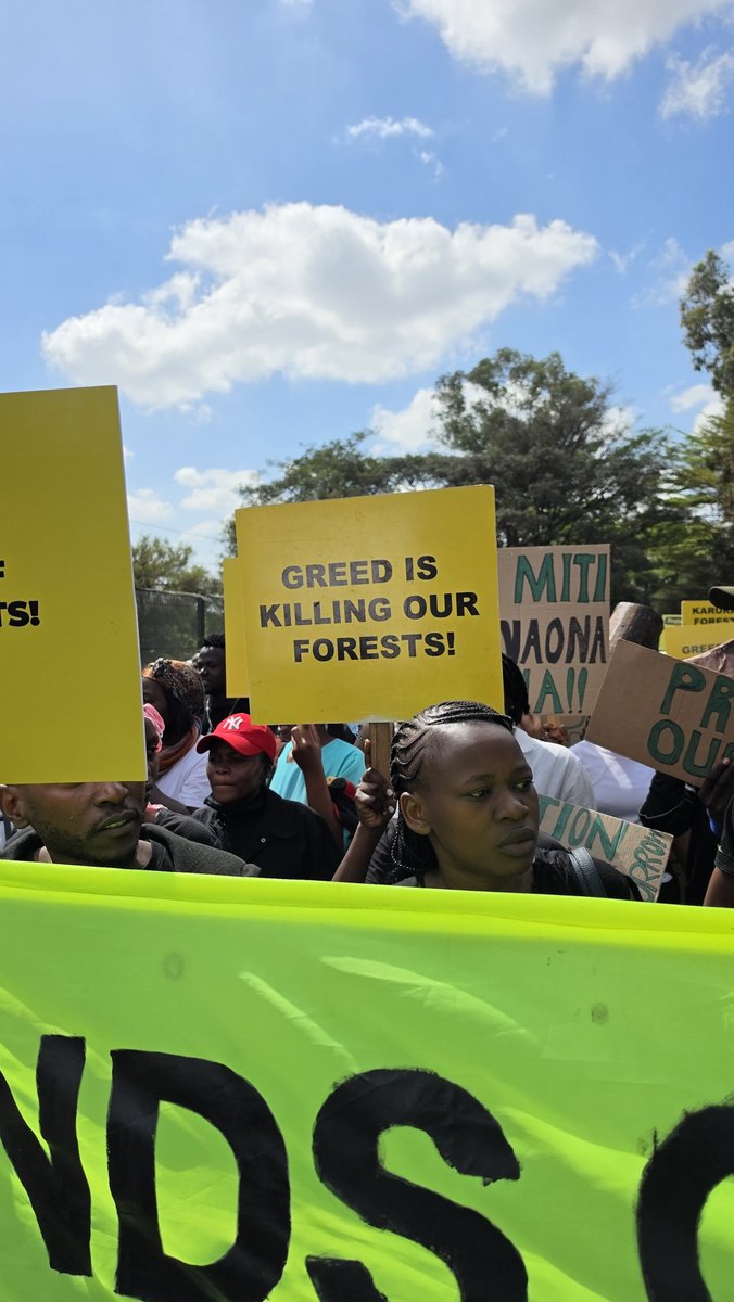 FerdyOmondi's tweet photo. Karura. Imenti. The Aberdares.
Kenya's forests keep falling while government rhetoric says otherwise.
60,000+ Kenyans signed one demand: stop deforestation. Today, with forest defenders, we handed their petition to the Ministry of Environment.
Will the government listen? 🌳 https://t.co/fRtbIvWyhJ