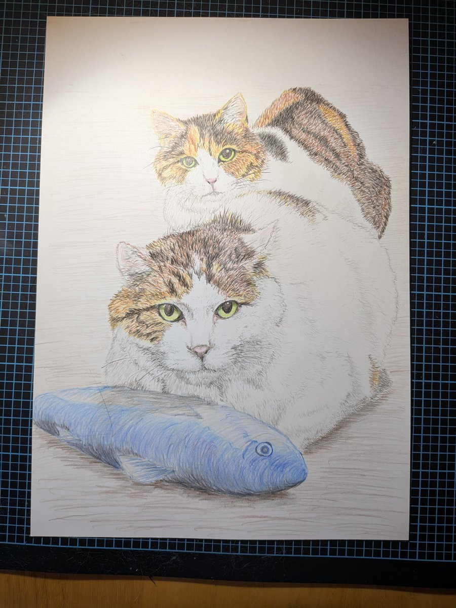 daifukuer's tweet photo. うちの福さんと幸さんを色鉛筆画で描きました。完成。過去最高かも https://t.co/prASbLZbNv