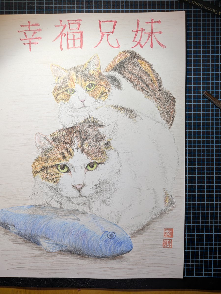 daifukuer's tweet photo. うちの福さんと幸さんを色鉛筆画で描きました。完成。過去最高かも https://t.co/prASbLZbNv