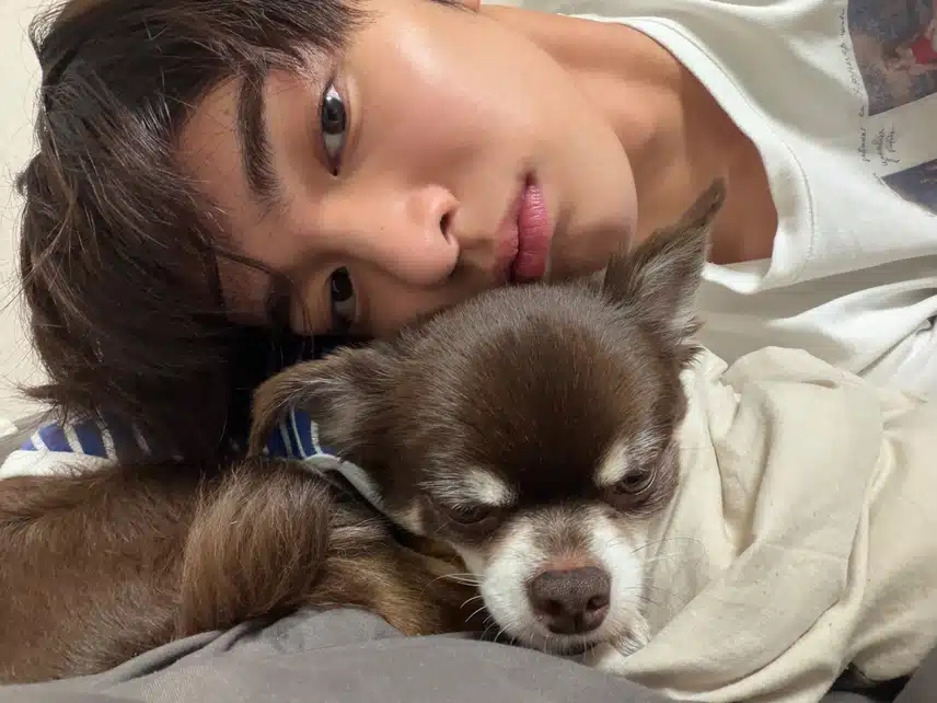 bbogagi's tweet photo. 뉴냐 퇴근하깨 집애서 만나 https://t.co/UeiqlVvfQr