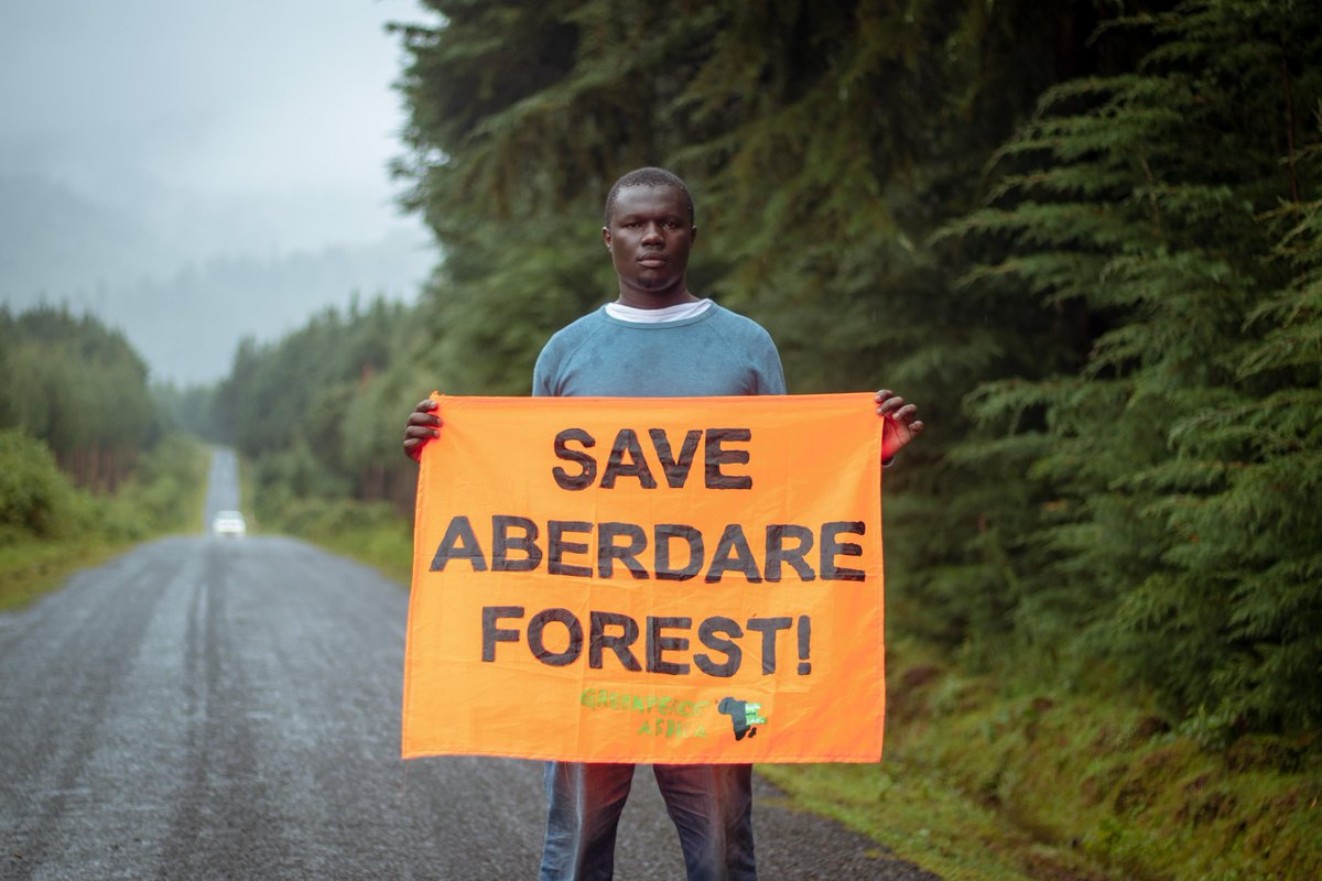 gp_kenyagroup's tweet photo. 15 billion trees cannot replace a single natural forest ecosystem. Restoration and preservation must work together, not act as a cover for deforestation @DeboraBarasa.
👉 https://t.co/BCPCbXkOFt
#HandsOffOurForests #ProtectKenyasForests @Environment_Ke @KeForestService https://t.co/pn9sGT9Z72