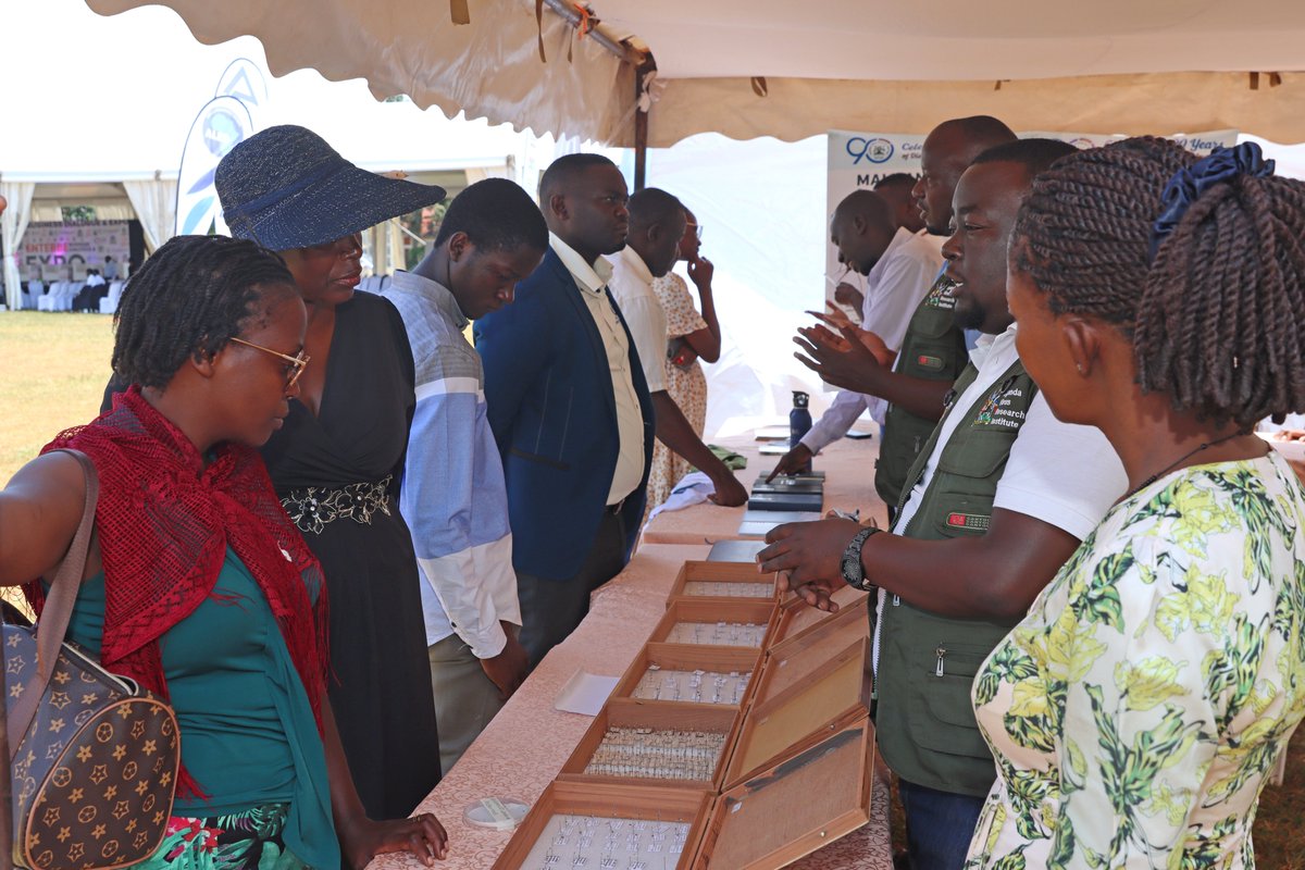TargetMalaria's tweet photo. #TargetMalariaUganda participated in the Entebbe Business Dialogue and Trade Expo 2026 at the invitation of Entebbe Municipality. 

The team hosted a stall where visitors explored mosquito specimens, educational materials, and information about #malaria research. The displays sparked strong interest and encouraged dialogue about malaria and the project’s work. Read more: https://t.co/A8U8qowqcP

#EndMalaria @UVRIug