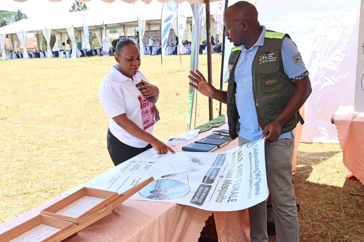 TargetMalaria's tweet photo. #TargetMalariaUganda participated in the Entebbe Business Dialogue and Trade Expo 2026 at the invitation of Entebbe Municipality. 

The team hosted a stall where visitors explored mosquito specimens, educational materials, and information about #malaria research. The displays sparked strong interest and encouraged dialogue about malaria and the project’s work. Read more: https://t.co/A8U8qowqcP

#EndMalaria @UVRIug