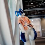 Photo by マカレル🐟サカナスキ〜🔜kemocon (@Macarel727)