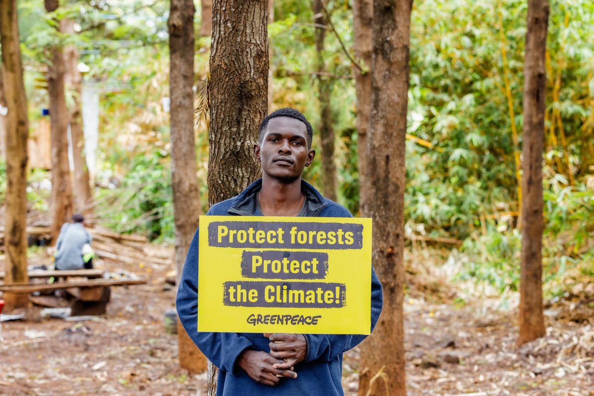 CheapComrade's tweet photo. A forest has no political party. No tribe. No constituency. Water from that forest can serve all of us.

 So why protect forests like the issue belongs to someone else? This is everyone’s business: 

Sign https://t.co/s8PDtC6ckC #HandsOffOurForests https://t.co/QxfVQTqexF