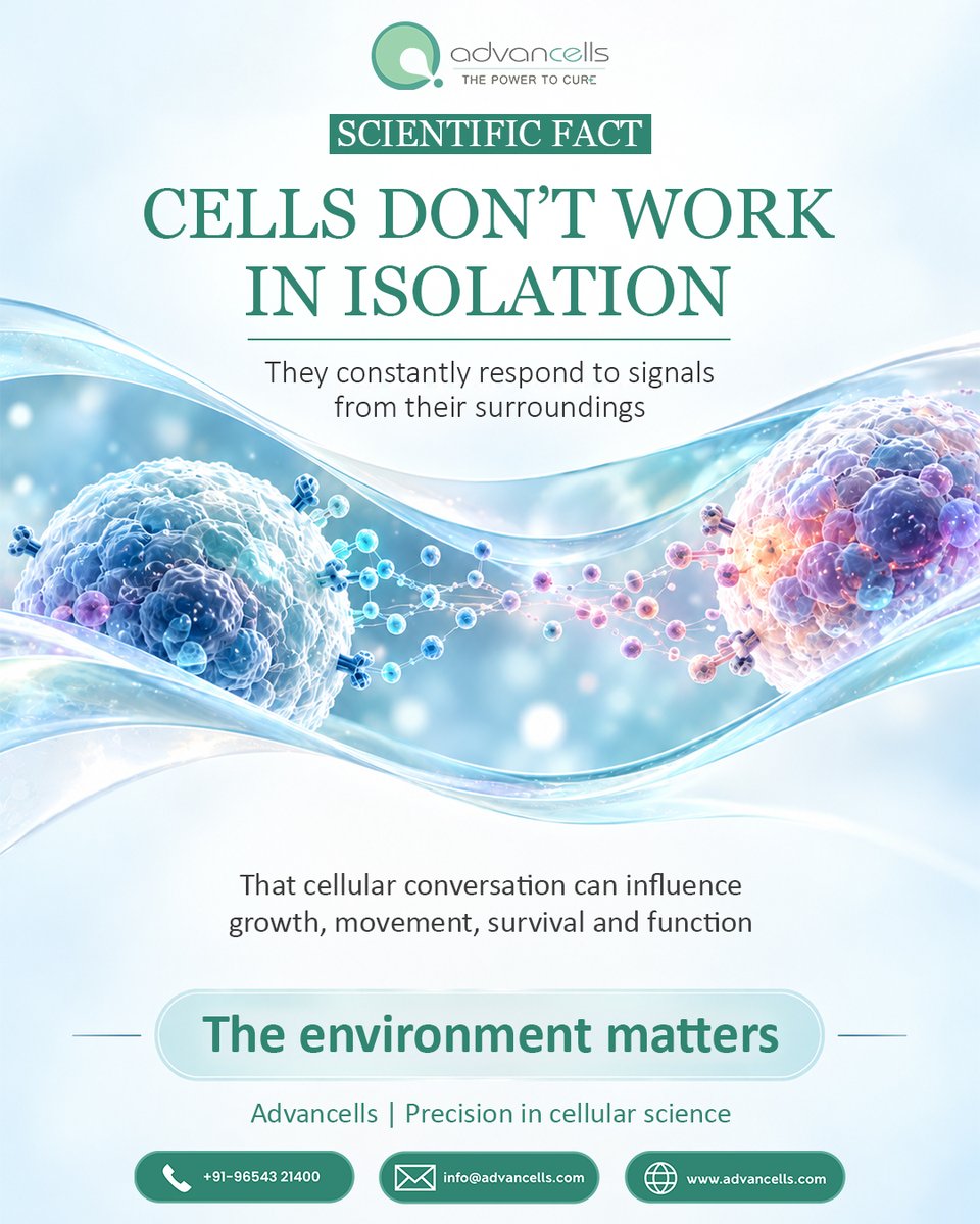 Advancells's tweet photo. A cell’s behaviour can be influenced by the signals and conditions around it. This cellular microenvironment is an important area of research in regenerative science.
#scientificfact #cellbiology #cellscience #regenerativemedicine #stemcellresearch https://t.co/EUTBKBaE1k