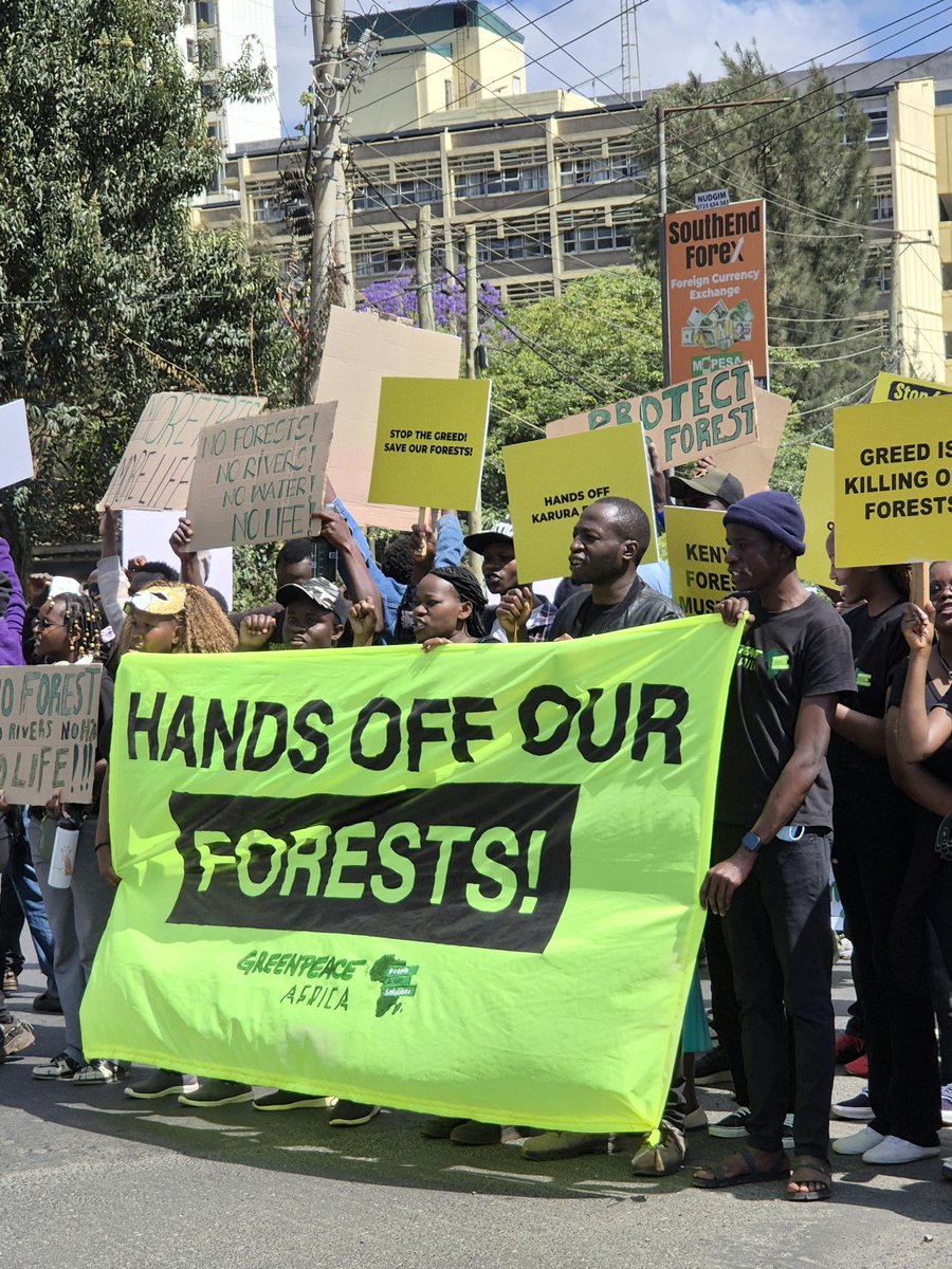 SelineGwala's tweet photo. Our forests connect everything: water, agriculture, wildlife, climate and livelihoods. Destroying them creates problems far beyond the forest boundary.
https://t.co/gT5DhqhetF
#HandsOffOurForests
#ProtectKenyasForests
@KeForestService
@DeboraBarasa
@Environment_Ke https://t.co/xakS26hOCY