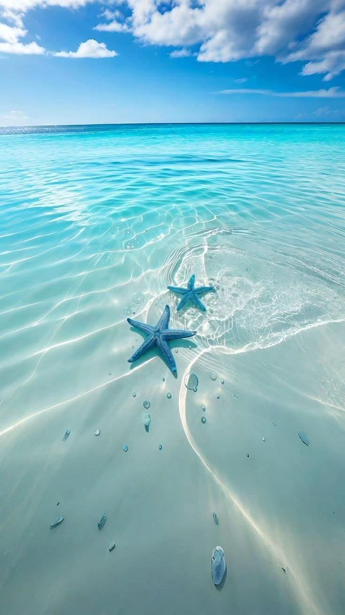 TravelBucketX tweet picture