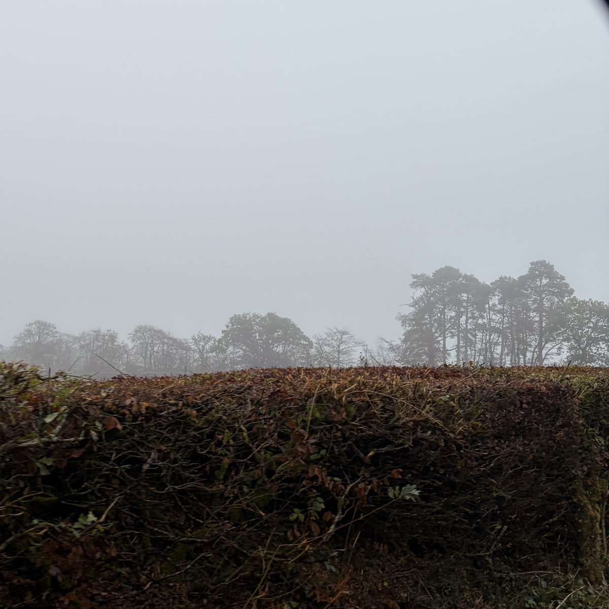 gingerfig's tweet photo. A foggy start to today’s #jaunt - we are off to #NTShuteBarton on one of the 8 days each year that it is open for visitors (it’s available to rent apparently at other times!)
What are you lot up to?? https://t.co/PtZ3URkKD7