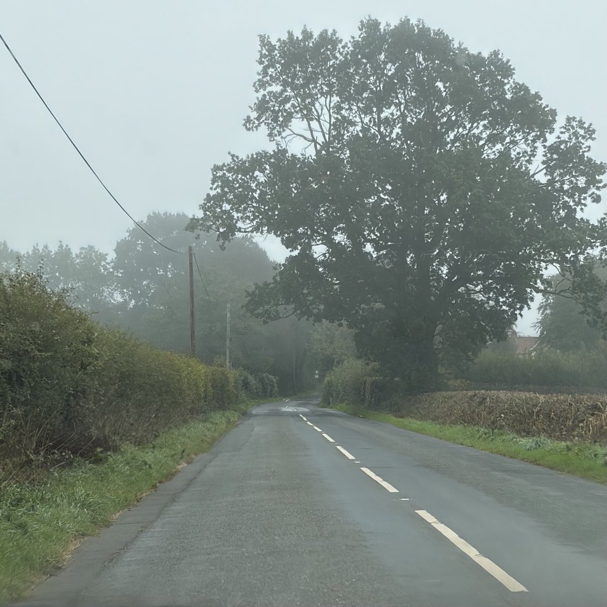 gingerfig's tweet photo. A foggy start to today’s #jaunt - we are off to #NTShuteBarton on one of the 8 days each year that it is open for visitors (it’s available to rent apparently at other times!)
What are you lot up to?? https://t.co/PtZ3URkKD7