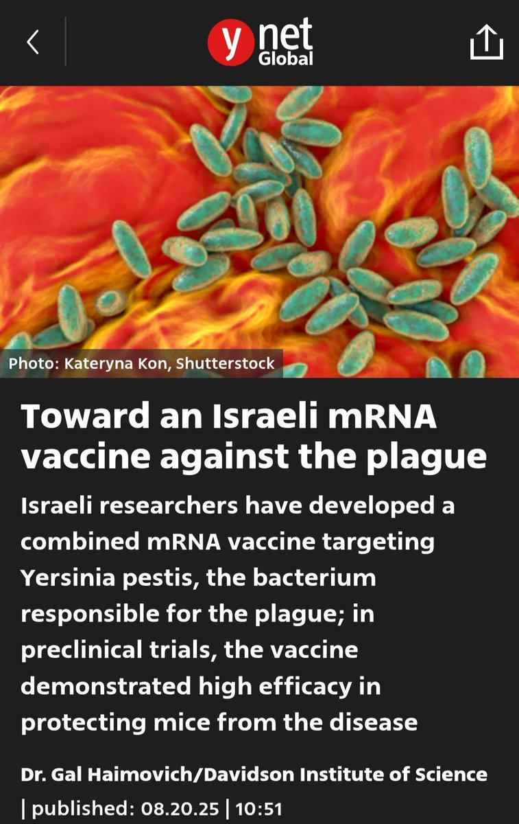 spint's tweet photo. @Kevin_McKernan @MaryBowdenMD @FDA Why anyone would take a 60-year-old antibiotic for a bacterial infection when there’s a brand-new, 100% effective Israeli mRNA vaccine available is beyond me. https://t.co/s69c0z3SZO