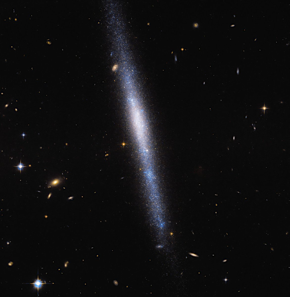 Astropics_bb's tweet photo. ハッブル宇宙望遠鏡がとらえた、ろくぶんぎ座の渦巻銀河UGCA 193。UGCA 193の下の方に若く青い星がたくさん映っており、星々が上から下へ降ってきているかのようにも見える画像になっています。

https://t.co/tOuhtnRKD9

Credit: ESA/Hubble &amp; NASA, R. Tully
Acknowledgement: Gagandeep Anand https://t.co/E4Hv87Q636