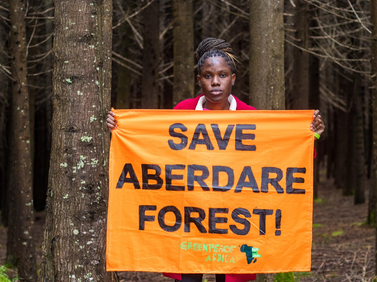 gp_kenyagroup's tweet photo. Exclusionary "public participation" in Upper Imenti, Ngong Road, and Karura is unacceptable. Communities deserve a real voice, not fake consultations or token check-boxes, @DeboraBarasa!
👉 https://t.co/BCPCbXkOFt
#HandsOffOurForests #ProtectKenyasForests @KeForestService https://t.co/YacOMOF1X9