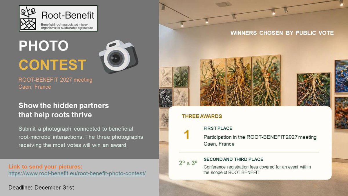 rootbenefit's tweet photo. 📸 Show the hidden partners that help roots thrive! 
Enter the ROOT-BENEFIT Photo Contest by 31 December. 
Winners chosen by public vote.
https://t.co/Kyen5WEHuo https://t.co/TGmA6s01VB