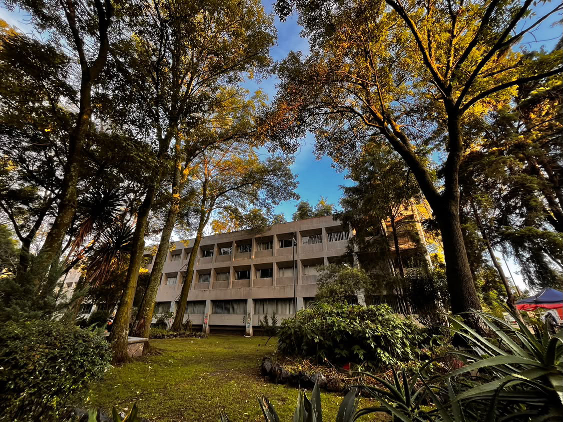 Comunidad_UNAM's tweet photo. ¡Buenos días, #ComunidadUNAM! ☺️💛💙
Muchas gracias por tus fotografías, @mar_sansol 🥰
Compártenos tus fotos, videos y creaciones de lo que más te guste de nuestra Casa de Estudios. Envíalas por inbox o a fotoscomunidad@dgaco.unam.mx
#BuenosDíasUNAM #FotosUNAM #CreacionesUNAM https://t.co/9TLNQGS4Sa