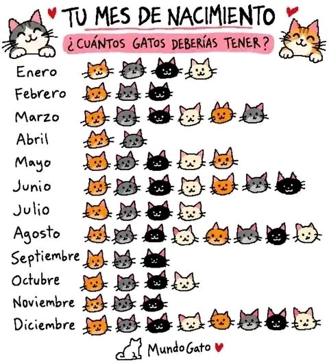 Tiofelino's tweet photo. ¿Cuántos gatos deberías tener según tu mes de nacimiento? ❤️🐱🐾 https://t.co/7ggym5TSs4